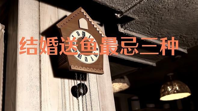 還有哪些魚種不適合贈(zèng)送？