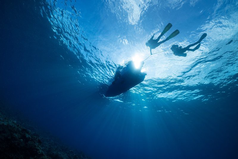 有哪些相機適合拍攝高清龍魚圖片？