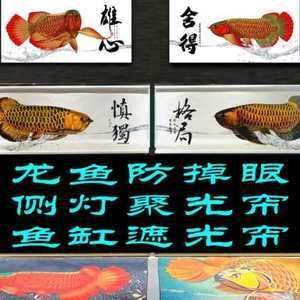 賣龍魚取一個店名好嗎（為賣龍魚的店取名）