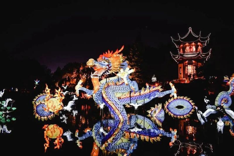 紅龍在哪些節日中特別受重視？