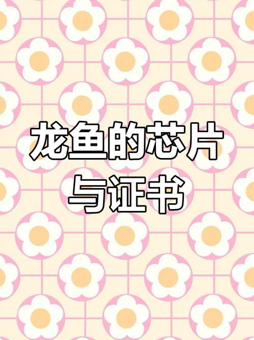 祥龍漁場(chǎng)龍魚芯片證書長什么樣？ 祥龍漁場(chǎng)龍魚芯片證書長什么樣？ 龍魚百科 第4張