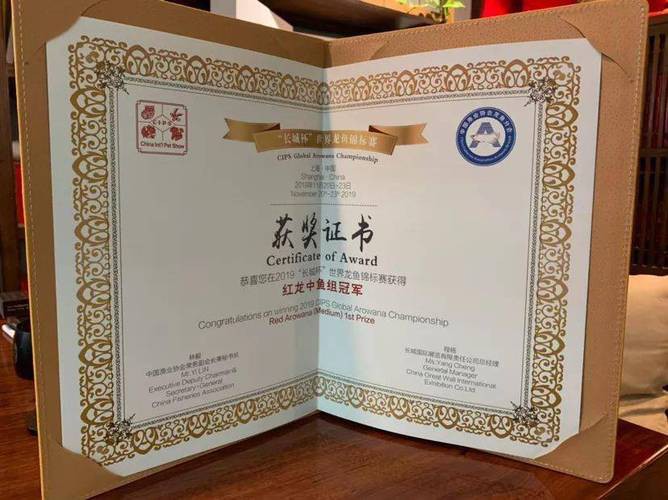 祥龍漁場(chǎng)龍魚芯片證書長什么樣？ 祥龍漁場(chǎng)龍魚芯片證書長什么樣？ 龍魚百科 第16張