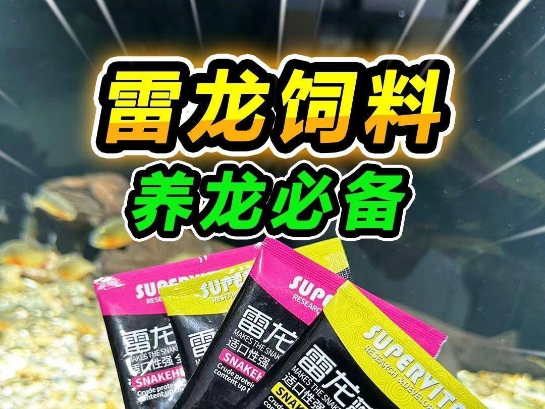 哪些食物有助于鬼王雷龍發色？