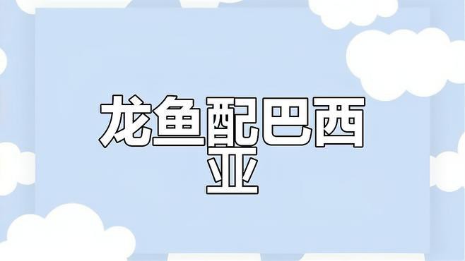 巴西亞魚會咬龍魚嗎圖片 巴西亞魚會咬龍魚嗎圖片 龍魚百科 第1張
