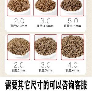 養金龍魚用什么顏色的背景:養金龍魚用什么背景顏色好?科學選擇讓魚更出彩 龍魚百科 第2張 養金龍魚用什么顏色的背景:養金龍魚用什么背景顏色好?科學選擇讓魚更出彩 養金龍魚用什么顏色的背景:養金龍魚用什么背景顏色好?科學選擇讓魚更出彩 龍魚百科 第2張