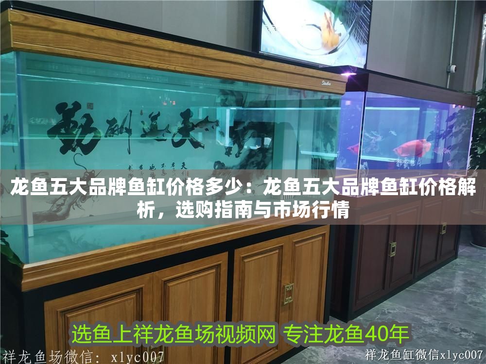 龍魚(yú)五大品牌魚(yú)缸價(jià)格多少：龍魚(yú)五大品牌魚(yú)缸價(jià)格解析，選購(gòu)指南與市場(chǎng)行情