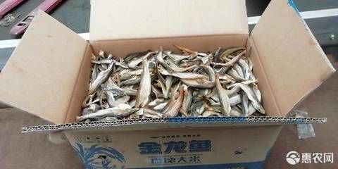 小龍魚的價(jià)格是多少小龍魚的價(jià)格是多少小龍魚的價(jià)格是多少：小龍魚價(jià)格是多少