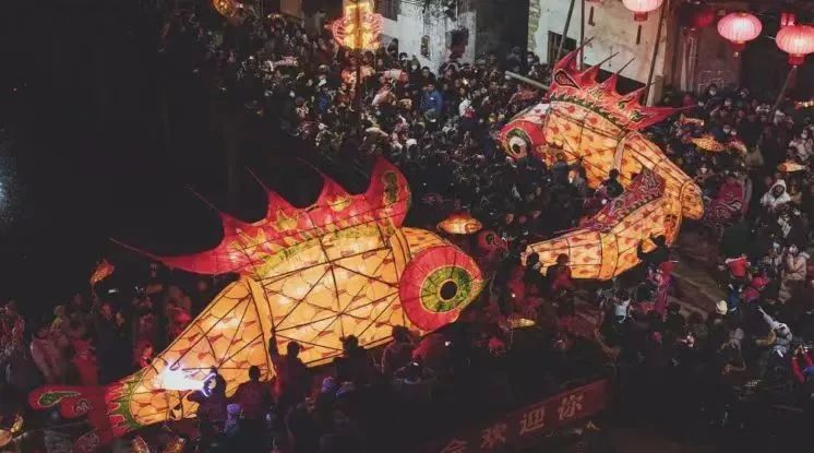 馬印龍魚燈怎么樣（馬印龍魚燈怎么樣？）