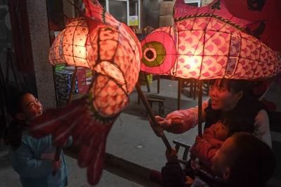 馬印龍魚燈怎么樣（馬印龍魚燈怎么樣？）