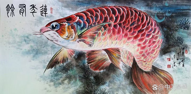 金龍魚的吉祥詞句有哪些