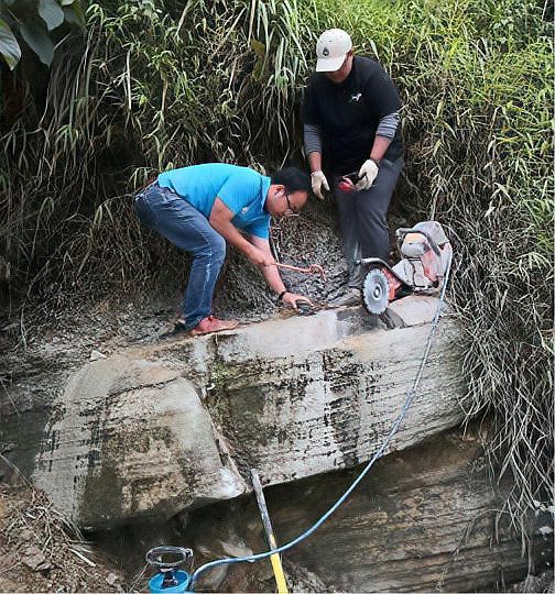 還有哪些著名的魚(yú)龍化石未被提及？