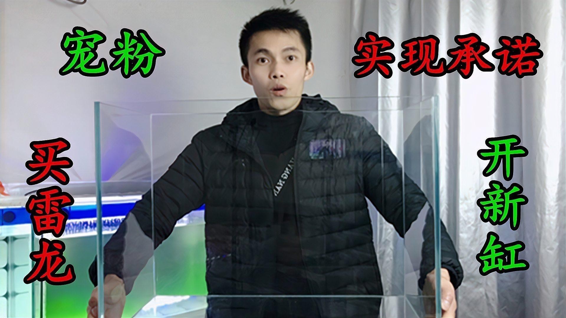 哪種雷龍魚好看好養