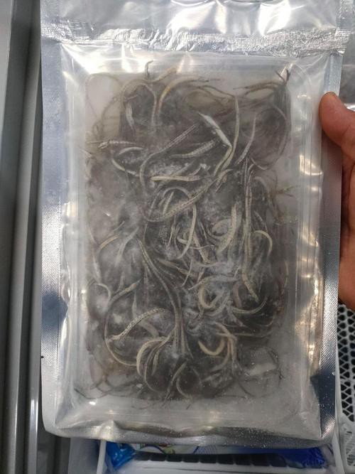 海龍魚圖片做流魚片