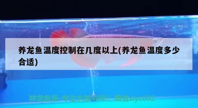 26度養龍魚：龍魚養殖水溫與龍魚的飼養溫度控制在26度之間的溫度