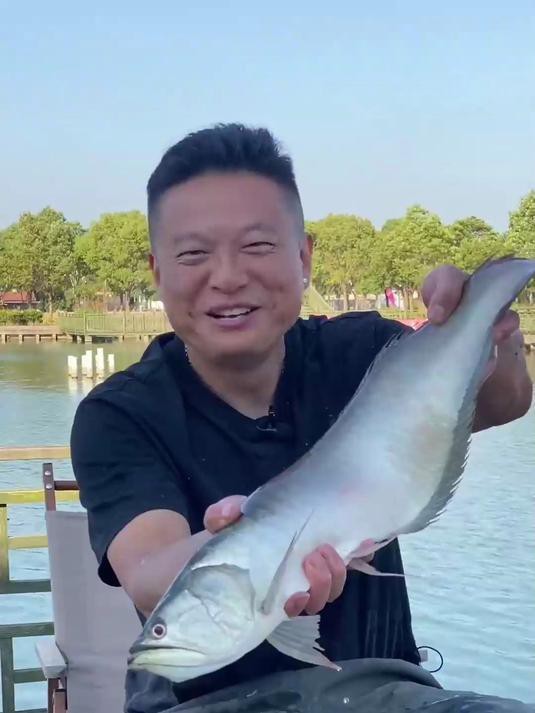 如何判斷七彩銀龍魚是否性成熟？