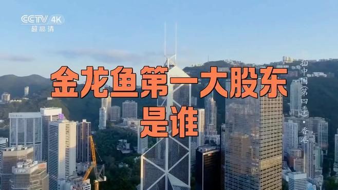 金龍魚最大股東是誰