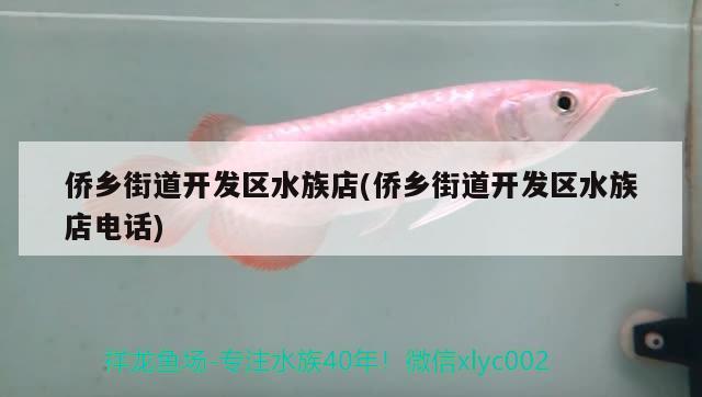 僑鄉街道開發區水族店(僑鄉街道開發區水族店電話)