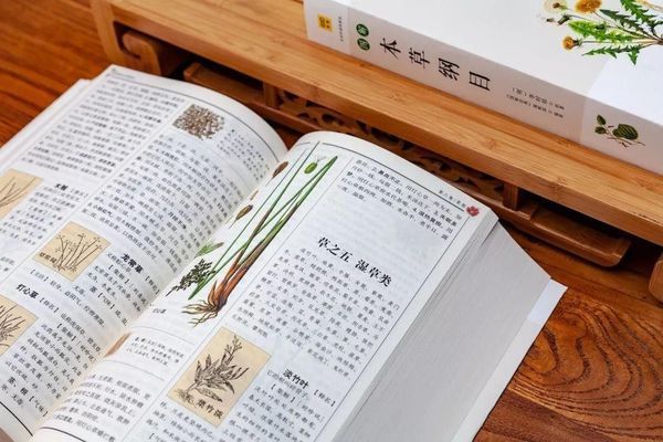 龍魚的藥海洋本草，海洋本草在龍魚的養護中具有各自的藥用價值，龍魚萬能藥的正確使用方法 龍魚的藥海洋本草，海洋本草在龍魚的養護中具有各自的藥用價值，龍魚萬能藥的正確使用方法 龍魚百科 第2張