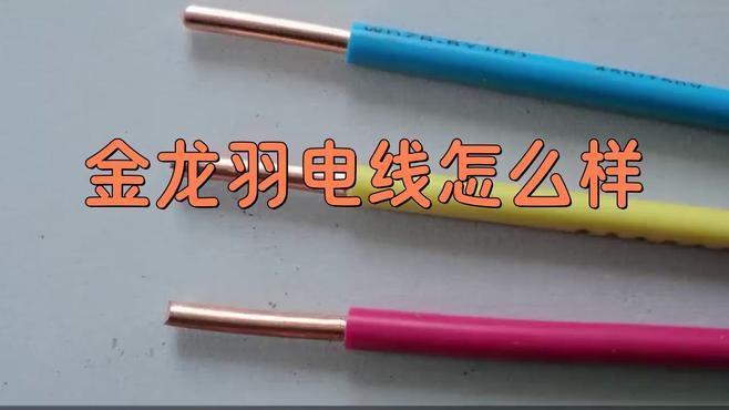 金龍魚銅線