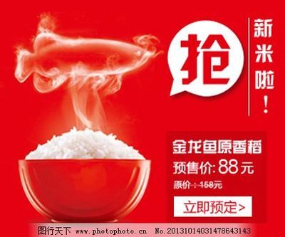 介紹金龍魚廣告詞怎么寫：金龍魚廣告詞怎么寫 介紹金龍魚廣告詞怎么寫：金龍魚廣告詞怎么寫 龍魚百科 第2張