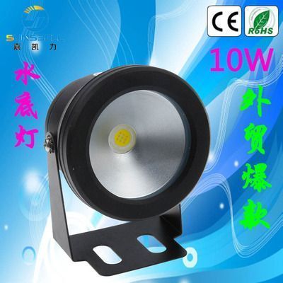 什么品種紅龍魚最貴最好養(yǎng)活：紅龍魚中最貴的品種是血麒麟，橙紅龍是最貴的品種