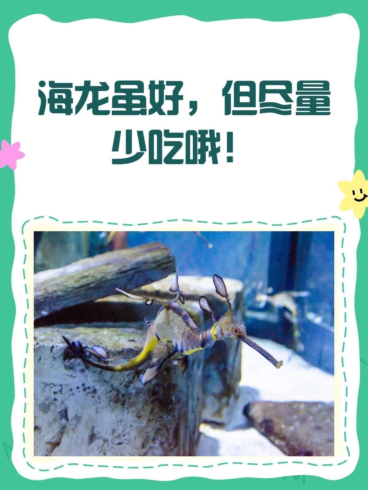 海龍有哪些禁忌人群