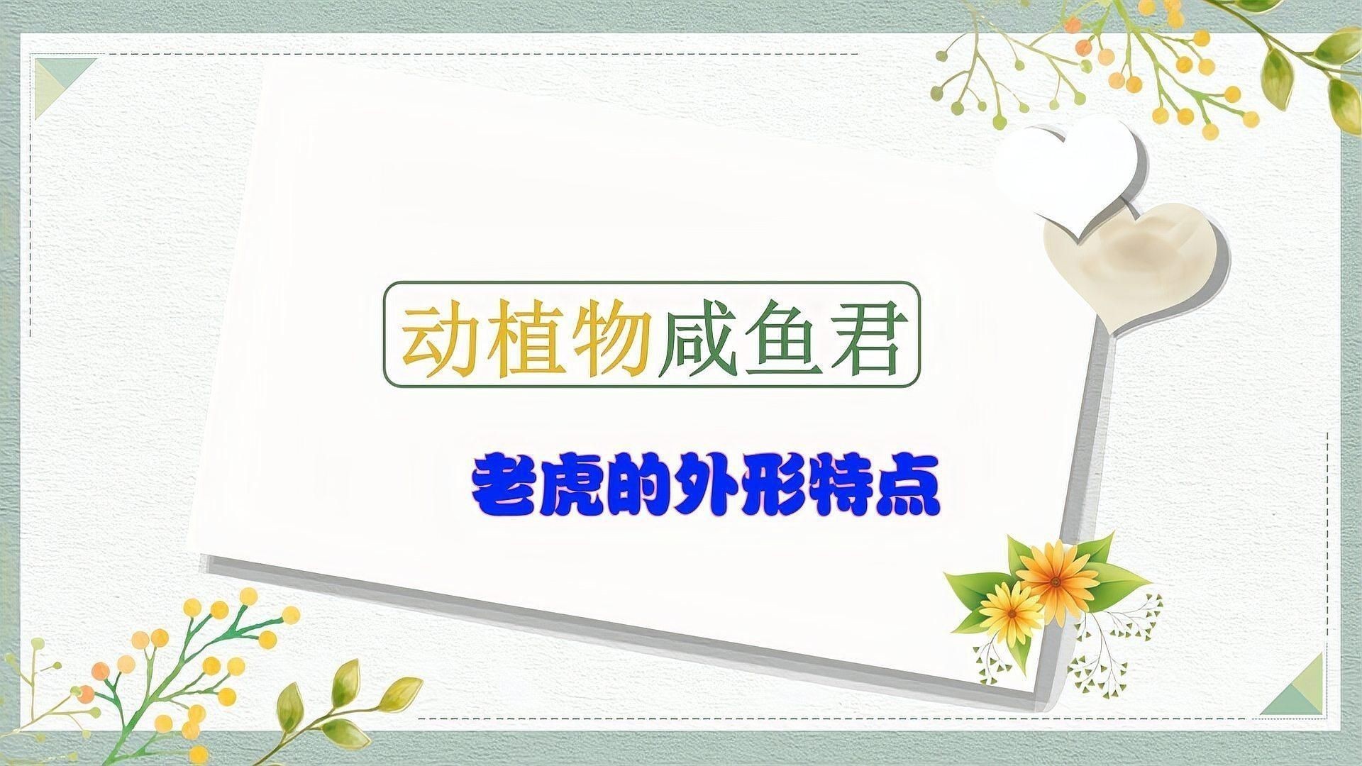 老虎的特點和生活特征 老虎的特點和生活特征 龍魚百科 第1張