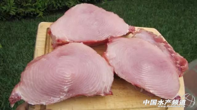 巨骨舌魚性成熟的標志是什么，