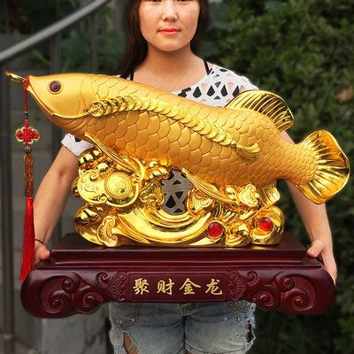 買什么金龍魚漂亮又便宜（寶石金龍魚養殖技巧）