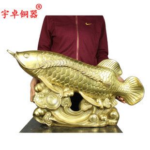 買什么金龍魚漂亮又便宜（寶石金龍魚養殖技巧）
