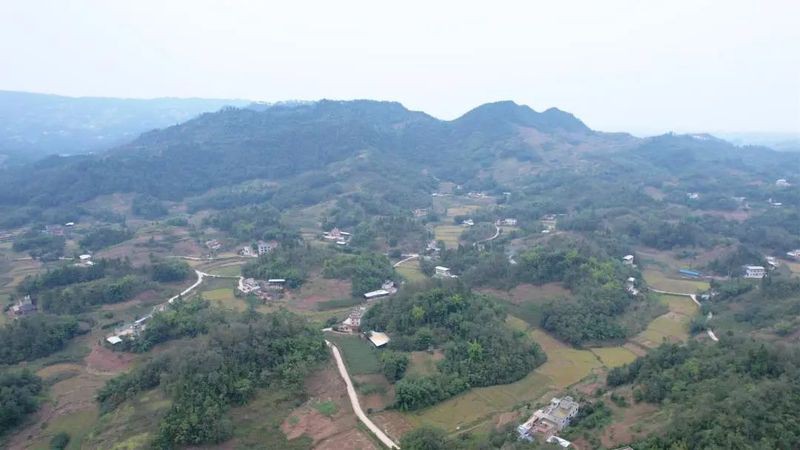 雙龍鎮還有哪些特色養殖案例？