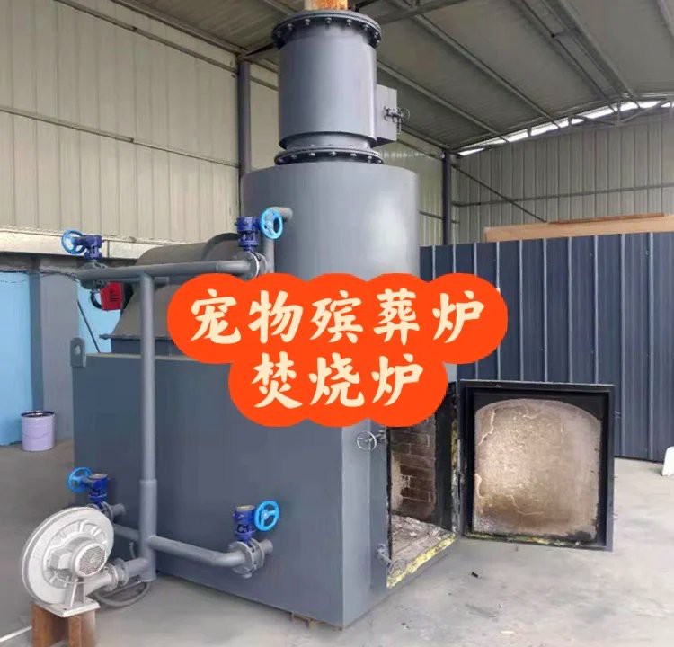 如何判斷一個(gè)機(jī)構(gòu)是否具備龍魚火化資質(zhì)？