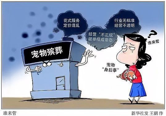 如何判斷一個(gè)機(jī)構(gòu)是否具備龍魚火化資質(zhì)？