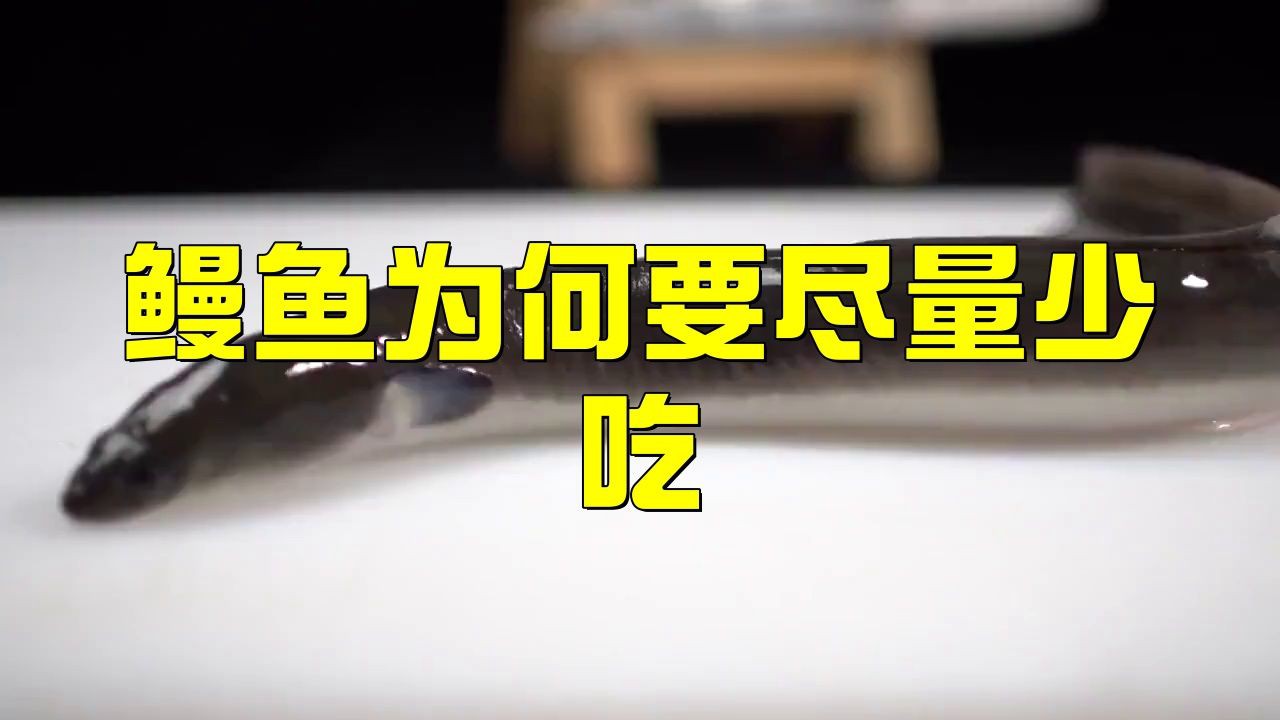 鰻鱗魚為何要盡量少吃