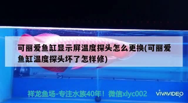 可麗愛魚缸顯示屏怎么拆視頻（可麗愛魚缸顯示屏故障常見原因如何自行更換魚缸顯示屏拆卸注意事項）