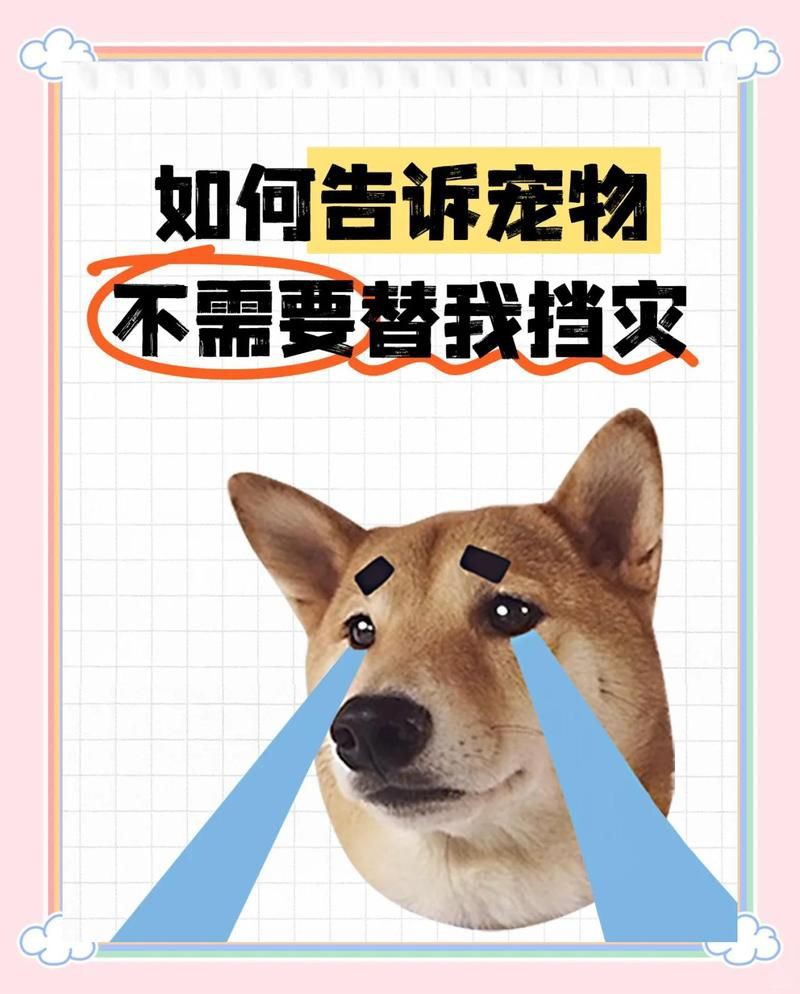 六角恐龍會替主人擋災嗎