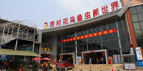 廣州有上門給龍魚做手術的醫院嗎多少錢：廣州寵物醫院大全