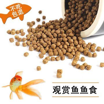 龍魚吃錦鯉飼料，錦鯉飼料與龍魚飼料的區(qū)別