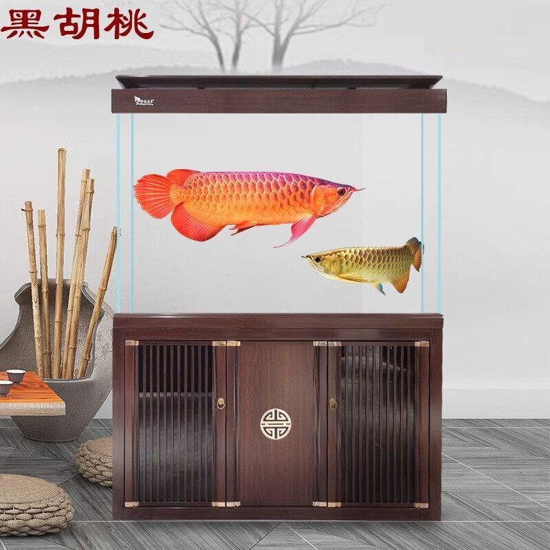 50的缸養(yǎng)龍魚(yú)（50寬的缸能養(yǎng)龍魚(yú)嗎）