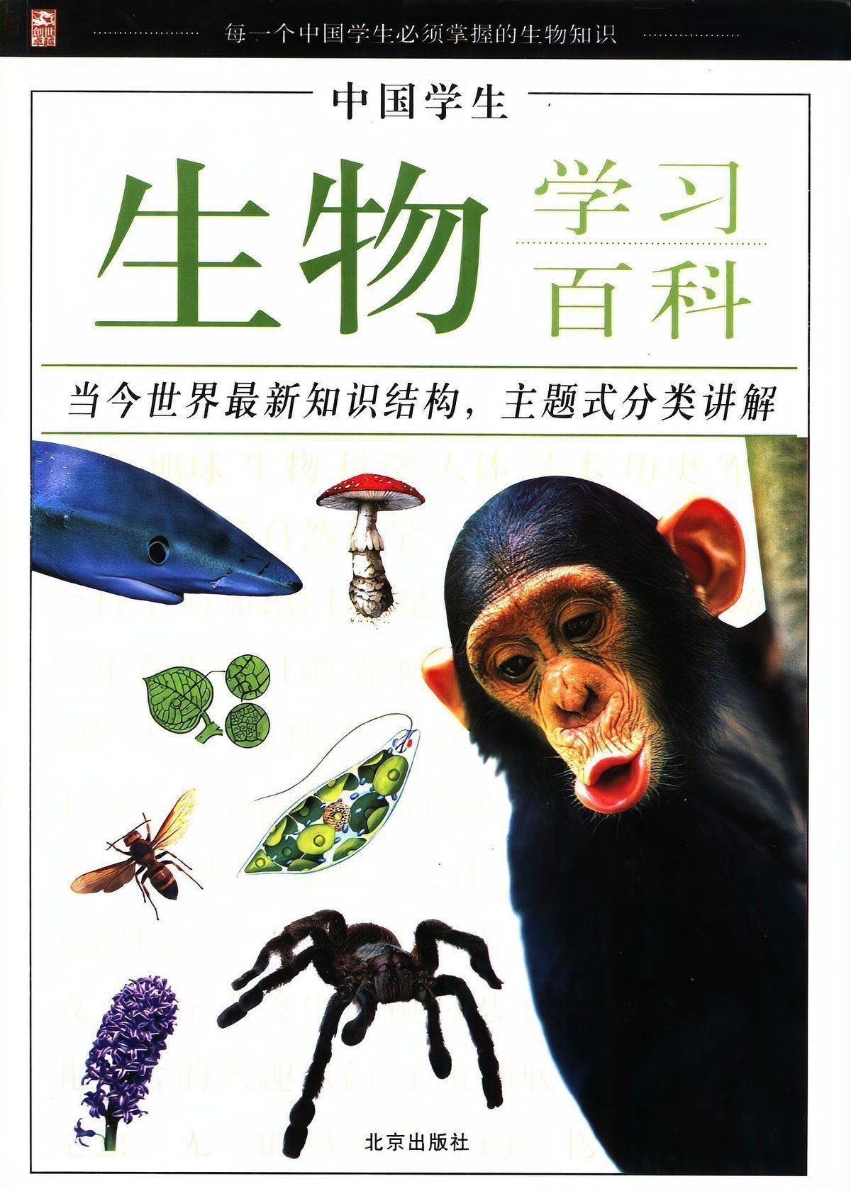 哪種魚用肺呼吸