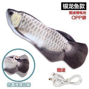 銀龍魚苗營養(yǎng)缺乏癥狀識別：銀龍魚苗營養(yǎng)缺乏會出現(xiàn)一系列癥狀及其識別方法 銀龍魚苗營養(yǎng)缺乏癥狀識別：銀龍魚苗營養(yǎng)缺乏會出現(xiàn)一系列癥狀及其識別方法 龍魚百科 第4張