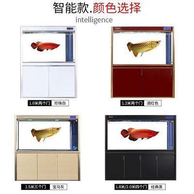 養龍魚用什么底色好：養龍魚時，選擇合適的底色和整體觀賞效果有著重要的影響
