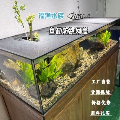 龍魚跳魚缸說明什么道理：龍魚跳魚缸說明了什么道理