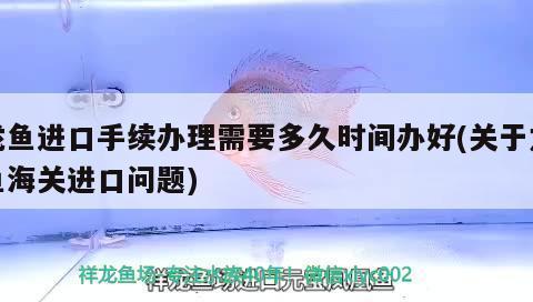 南充魚缸制作店電話（ 南充哪里有定做魚缸的）