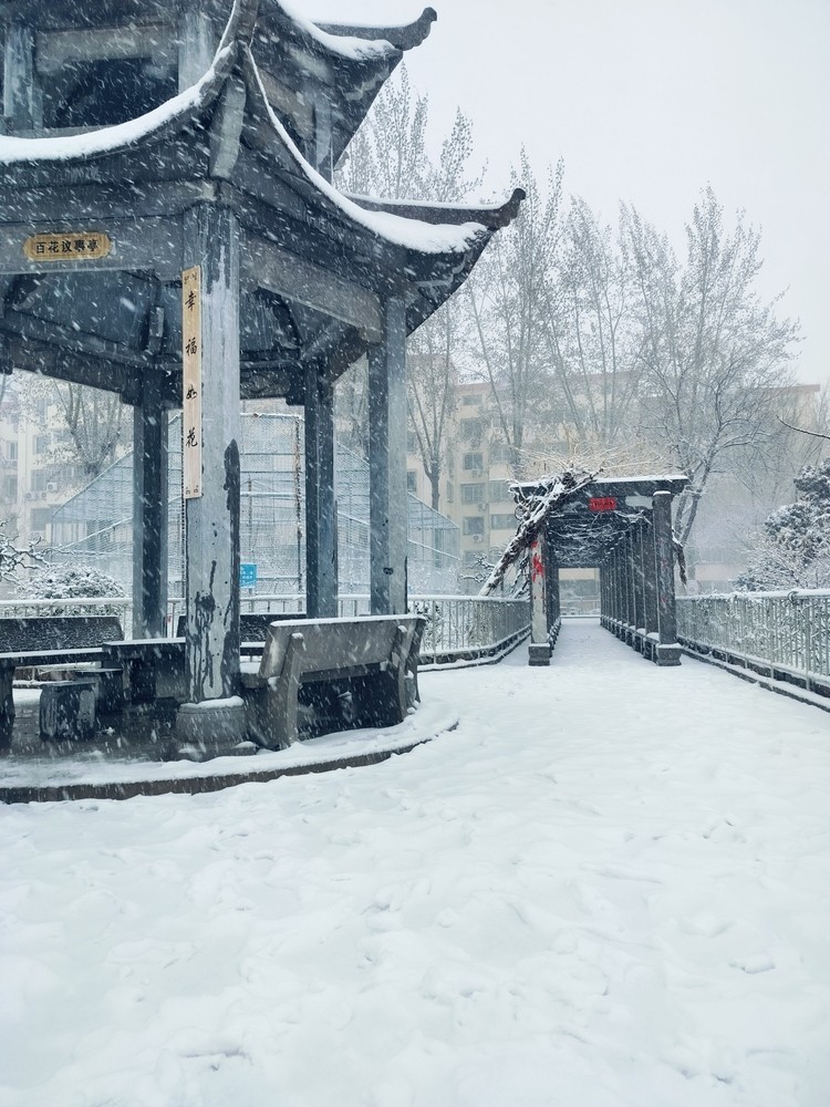 濟南的暴雪