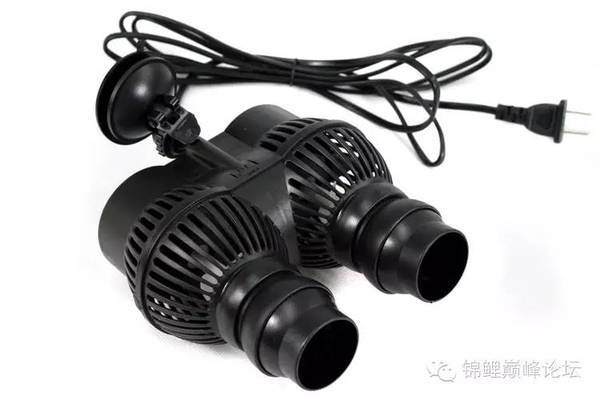 泰安龍魚批發(fā)市場地址在哪里啊 泰安龍魚批發(fā)市場地址在哪里啊電話