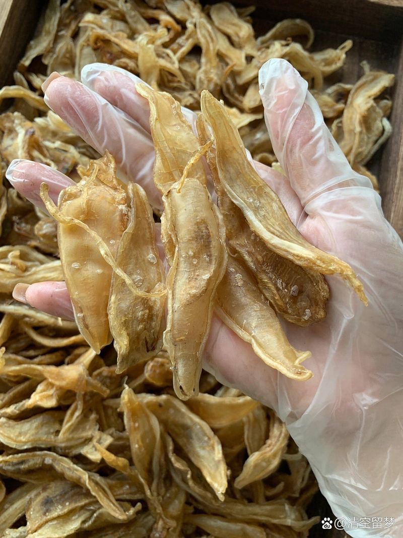正宗金龍魚膠絲多少錢一克