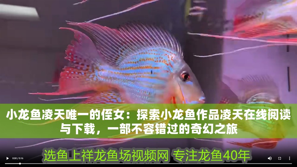 小龍魚凌天唯一的侄女：探索小龍魚作品凌天在線閱讀與下載，一部不容錯(cuò)過(guò)的奇幻之旅