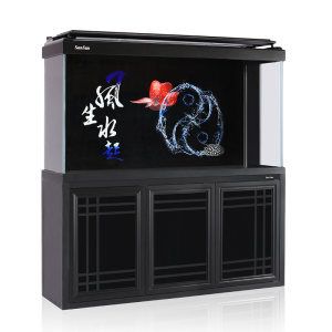 龍魚(yú)缸哪個(gè)品牌最好最先進(jìn)的產(chǎn)品：龍魚(yú)缸品牌排行榜