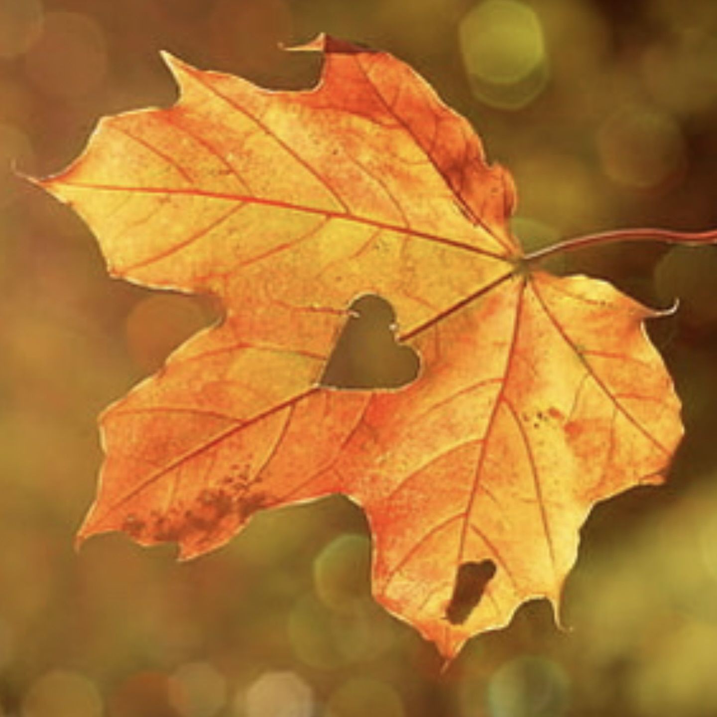 金木水火土的象征意義